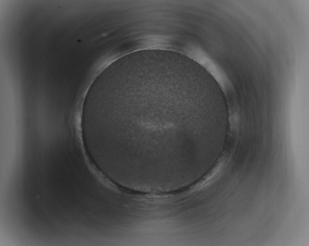 X0000102770954200808181126