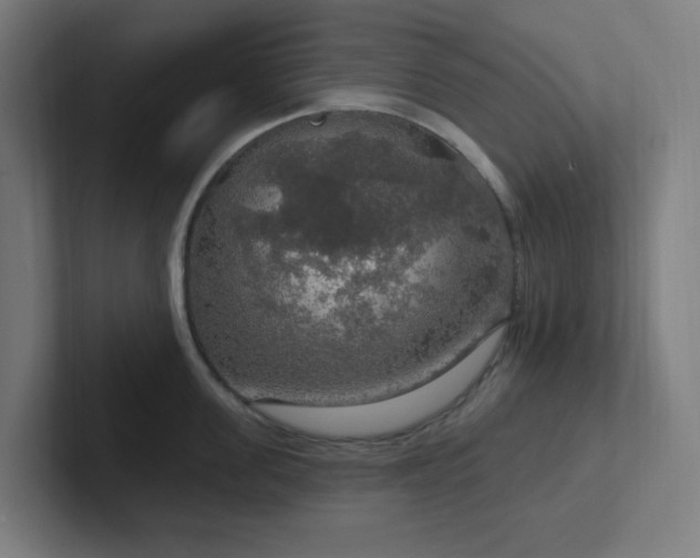 X0000102770955200808181126