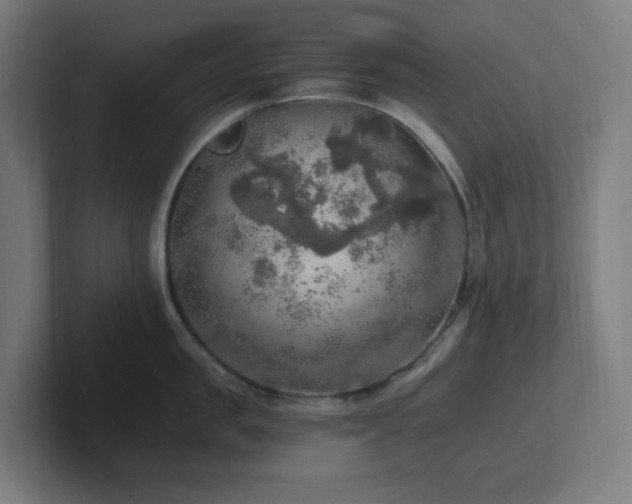 X0000102770957200808181126