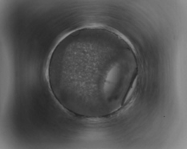 X0000102770959200808181127