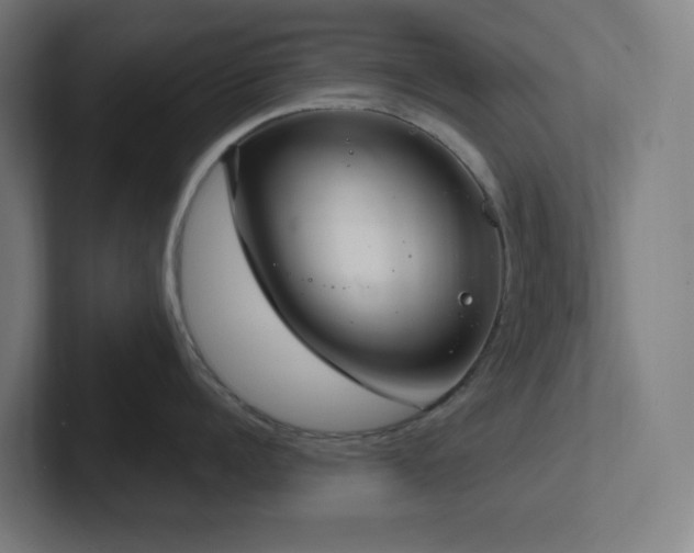 X0000102770960200808181127