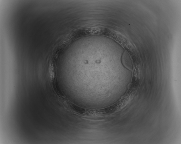 X0000102770962200808181126