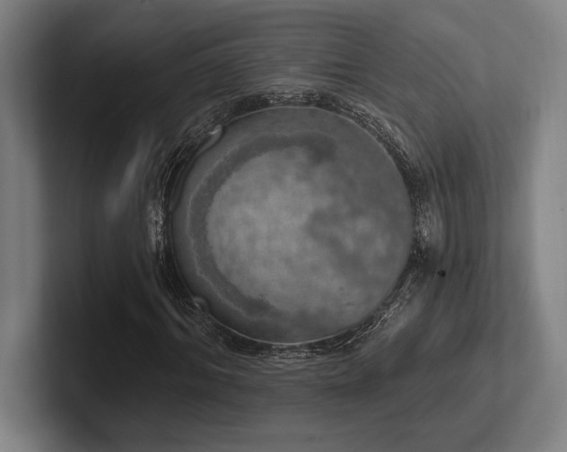 X0000102770964200808181126