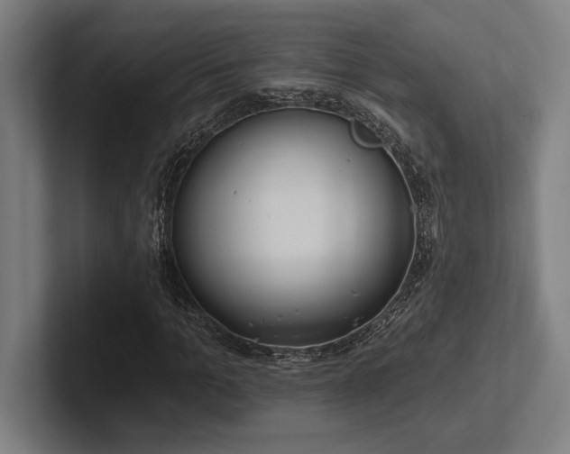 X0000102770965200808181126