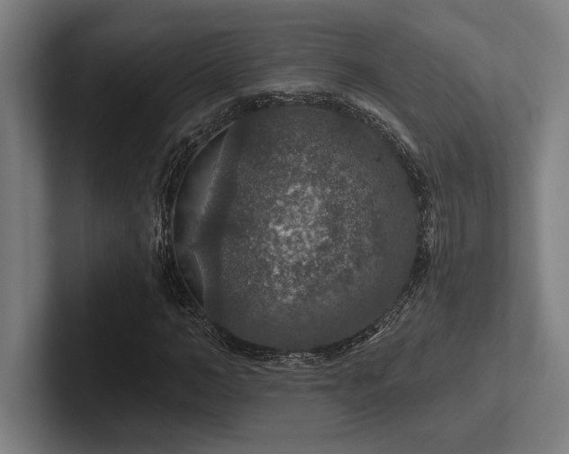 X0000102770966200808181126