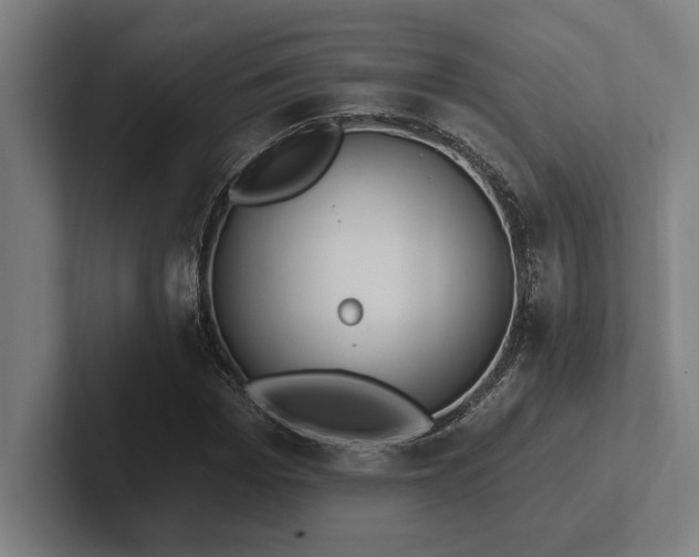 X0000102770969200808181126