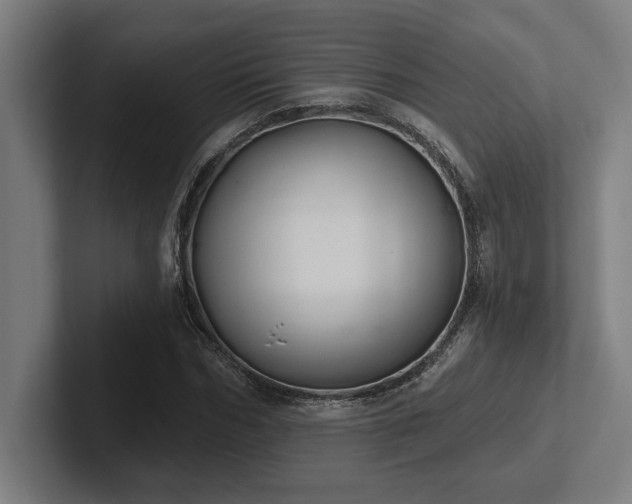 X0000102770970200808181126