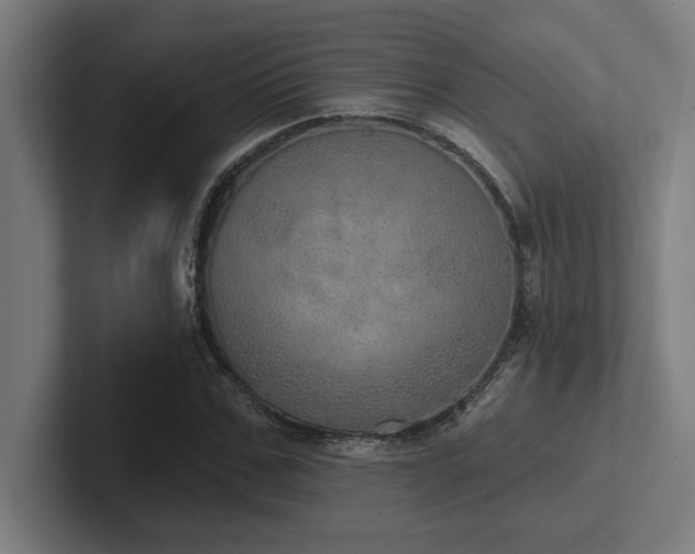 X0000102770971200808181126