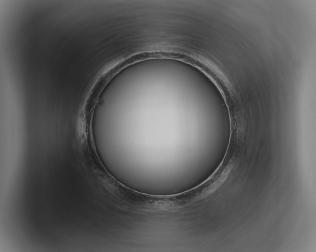 X0000102770974200808181126