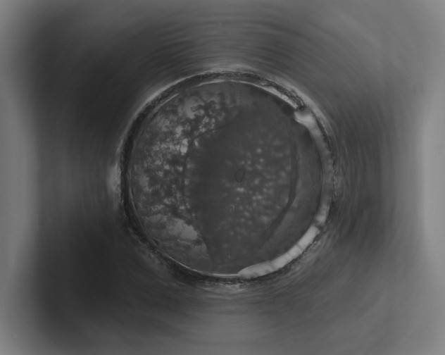 X0000102770975200808181126