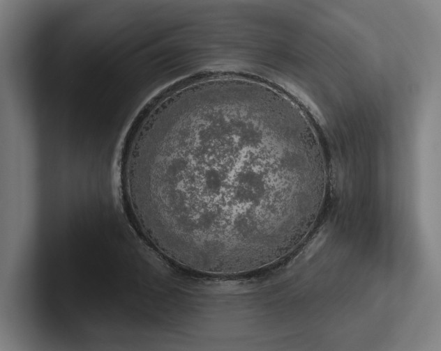 X0000102770976200808181126