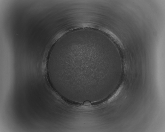 X0000102770977200808181126