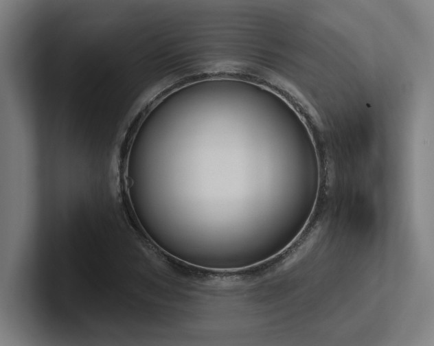 X0000102770978200808181126