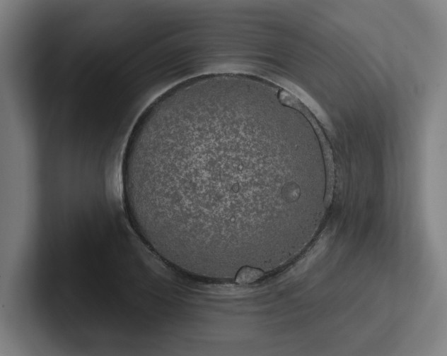 X0000102770980200808181126