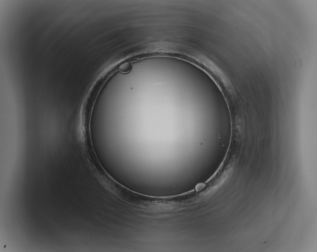 X0000102770981200808181126