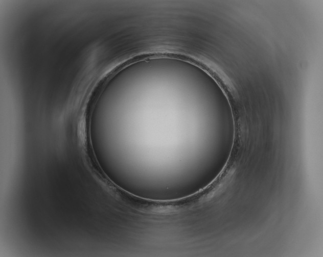 X0000102770982200808181126