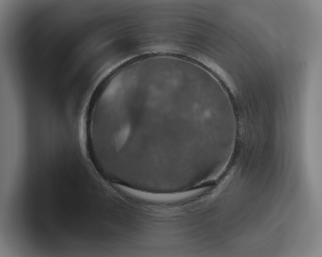 X0000102770983200808181126