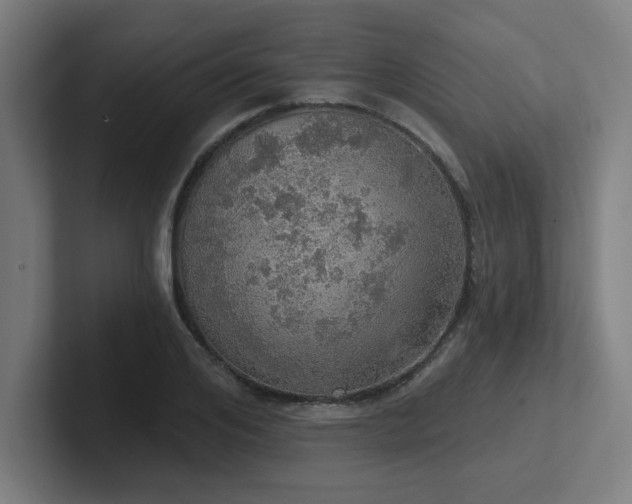 X0000102770984200808181126