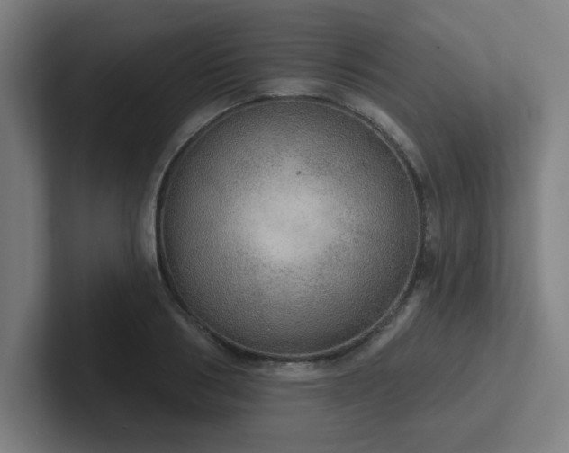 X0000102770986200808181126