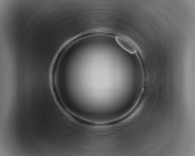 X0000102770989200808181126