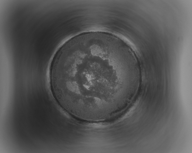 X0000102770990200808181126