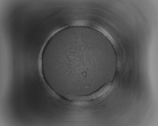 X0000102770992200808181125