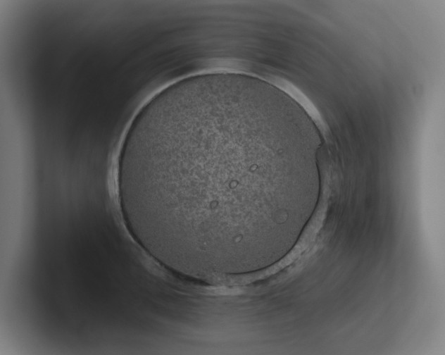 X0000102770996200808181125