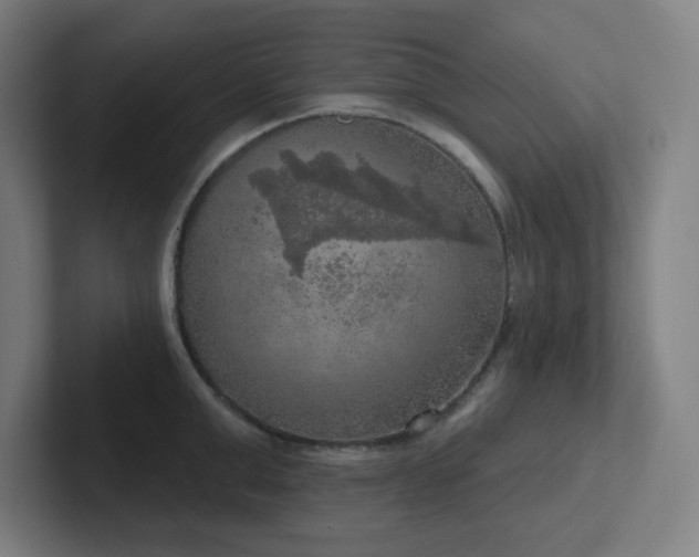 X0000102770999200808181125