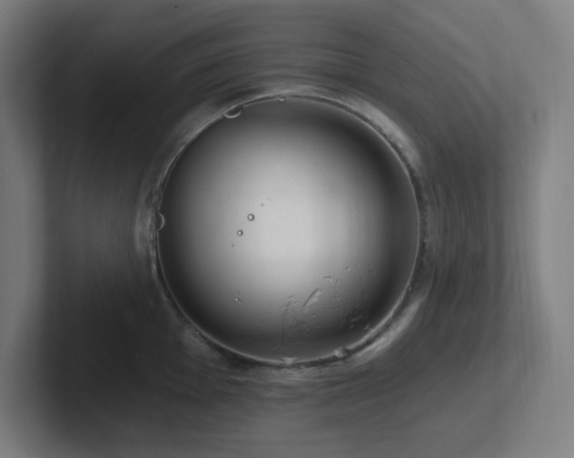 X0000102771001200808181125