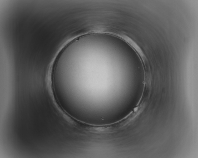 X0000102771005200808181125