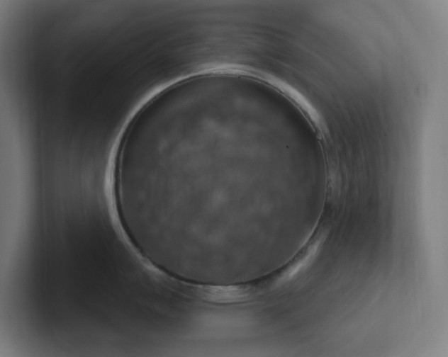 X0000102771007200808181125