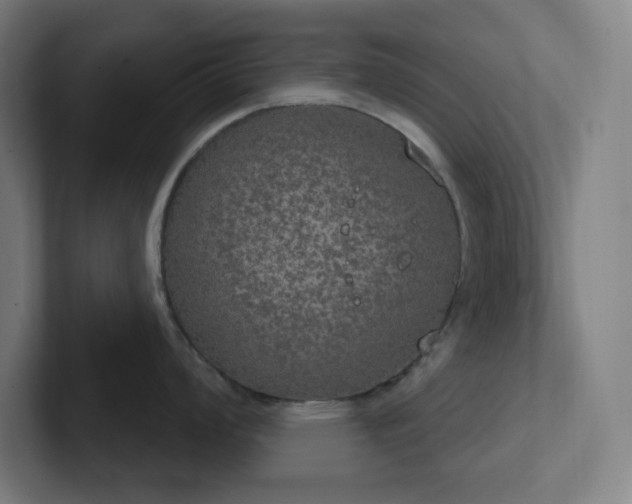 X0000102771008200808181125