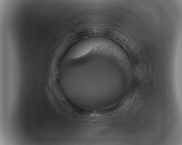 X0000102771009200808181125