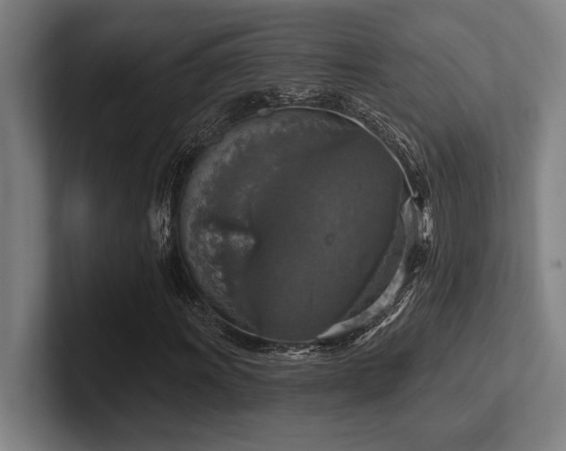 X0000102771011200808181125