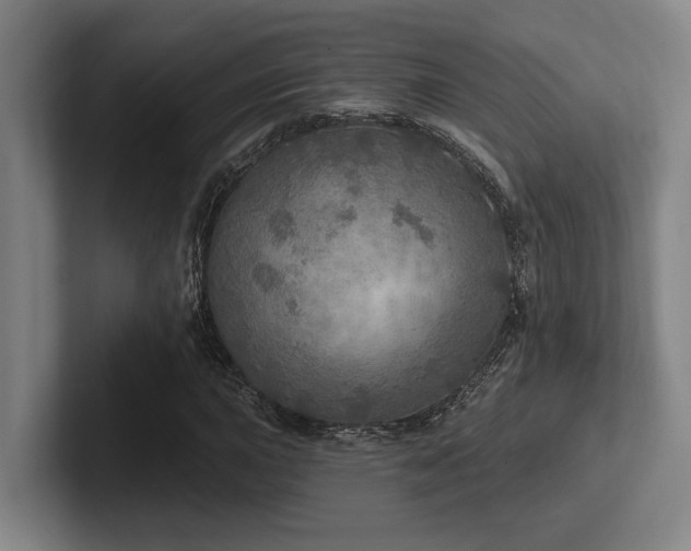 X0000102771015200808181125