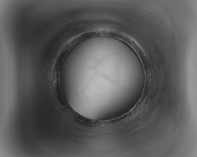 X0000102771016200808181125