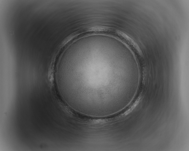 X0000102771017200808181125