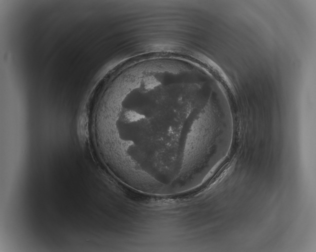 X0000102771019200808181125