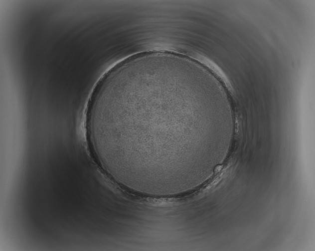 X0000102771020200808181125