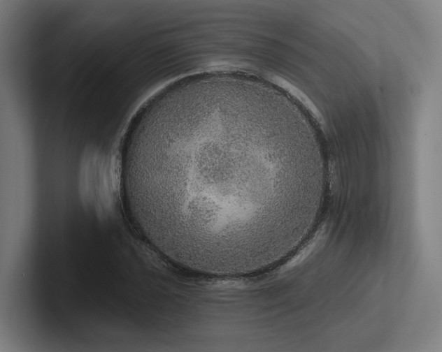 X0000102771021200808181125