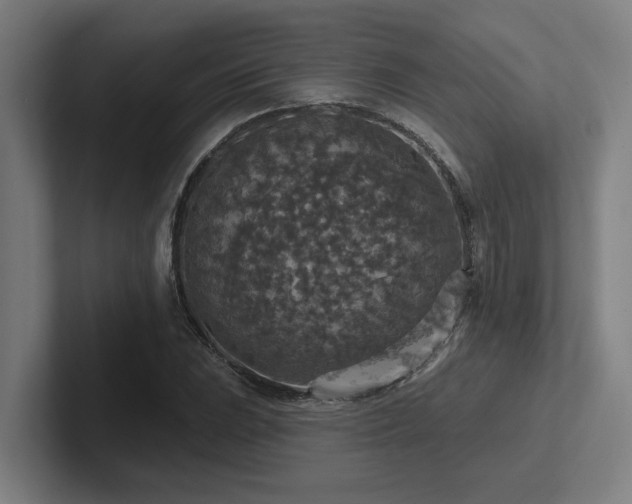 X0000102771023200808181125