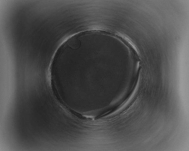 X0000102771024200808181125