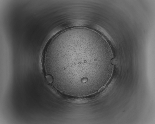 X0000102771026200808181125