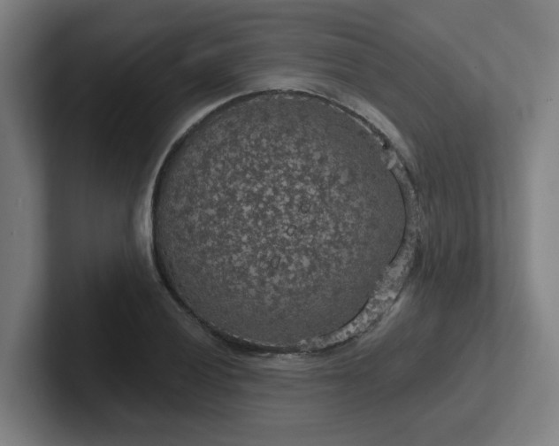 X0000102771028200808181125