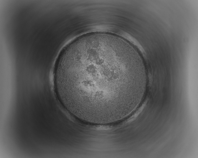 X0000102771029200808181125