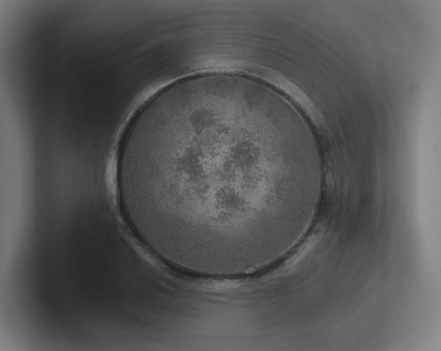 X0000102771030200808181125