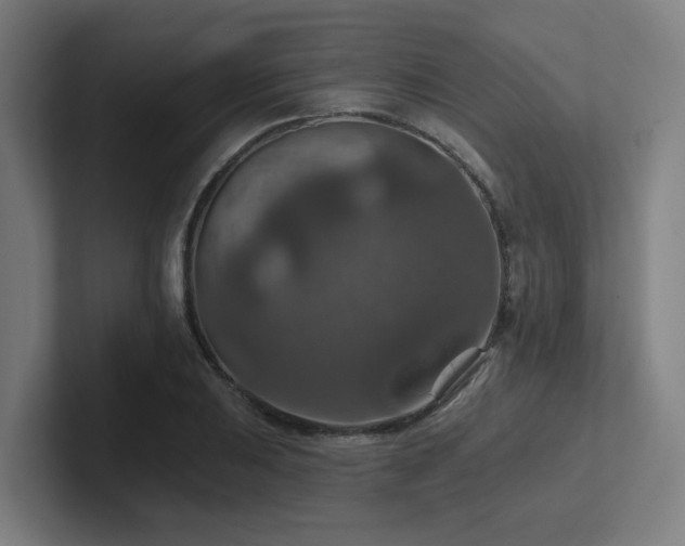 X0000102771031200808181125