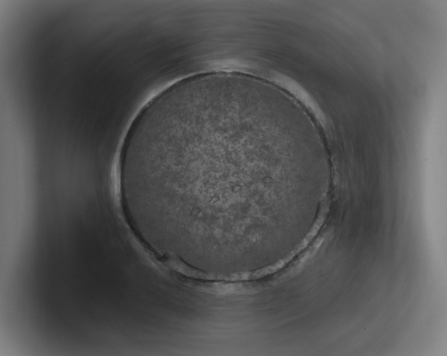 X0000102771032200808181125