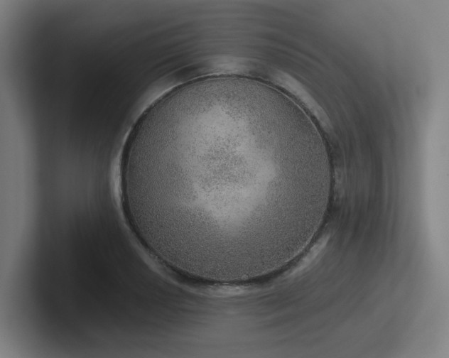 X0000102771034200808181125