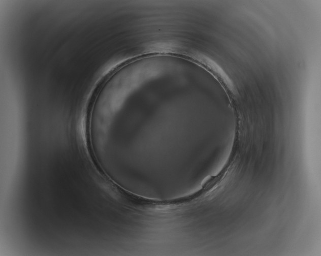 X0000102771035200808181125